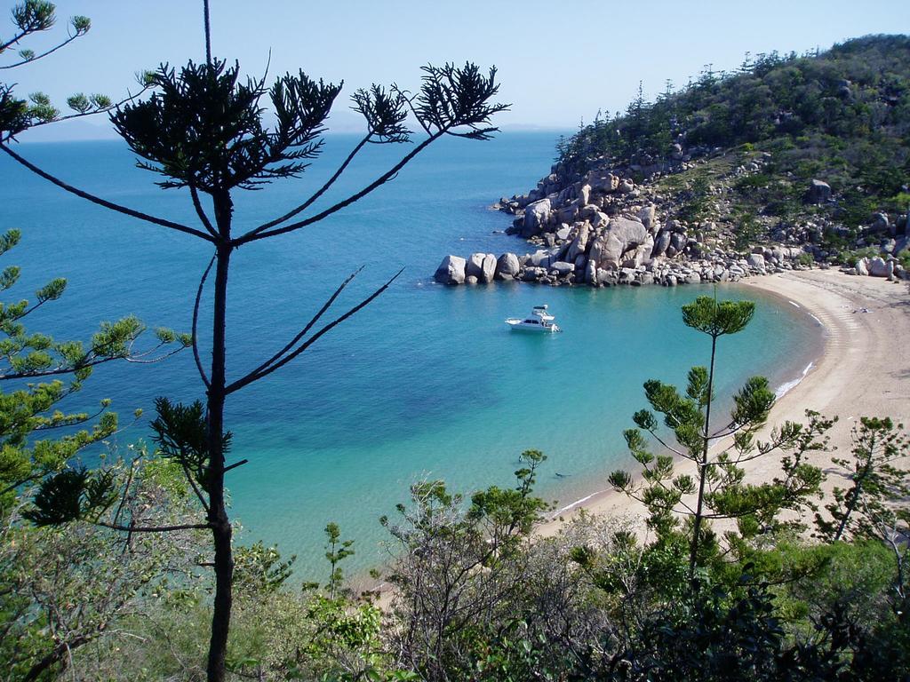 Tropical Palms Resort & 4Wd Hire Picnic Bay Exteriör bild