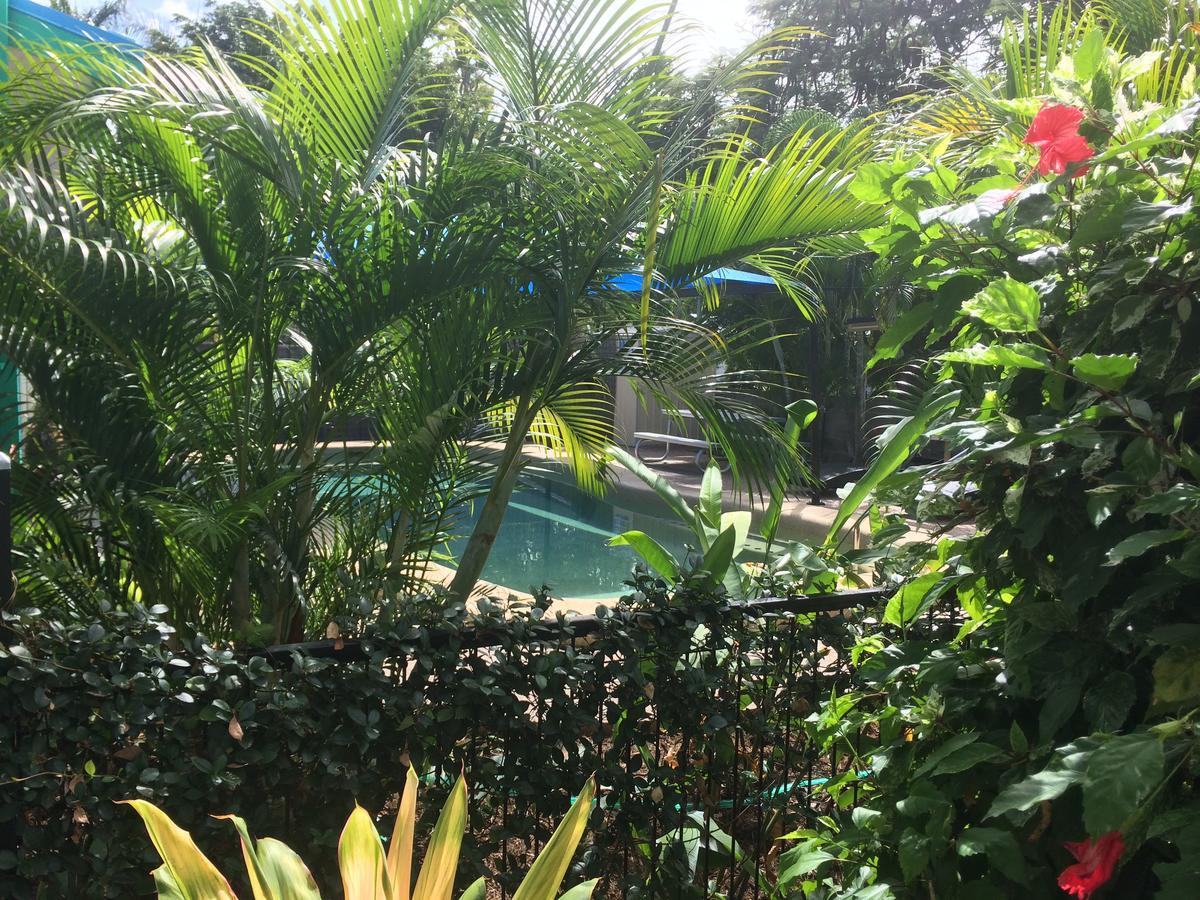 Tropical Palms Resort & 4Wd Hire Picnic Bay Exteriör bild